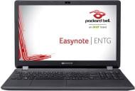 Ноутбук Packard Bell Packard Bell ENTG71BM-C38X 15.6" (NX.C3UEU.001) black