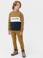 Брюки 4F TROUSERS CAS M414 4FJAW23TTROM414-74S р. 128 желтый Брюки 4F TROUSERS CAS M414 4FJAW23TTROM414-74S р. 128 желтый