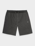 Шорты 4F SHORTS CAS M248 4FSS23TSHOM248-22S р. XL серый