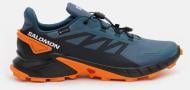 Кроссовки мужские демисезонные Salomon SUPERCROSS 4 GTX L47119800 р.46 синие