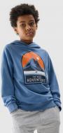 Джемпер 4F SWEATSHIRT M0933 4FJWSS24TSWSM0933-33S р.164 блакитний