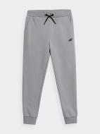 Брюки 4F TROUSERS CAS M411 4FJAW23TTROM411-34S р. 134 серый
