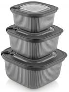 Набір контейнерів Idea Home 00685 Line Box Gray 0.6/1.1/1.8 (00685 Gray)