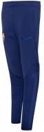 Брюки Nike FC Barcelona DH7745-492 р. M синий