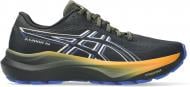 Кроссовки мужские демисезонные Asics GT-2000 14 GTX 1011C058-001 р.46,5 черные