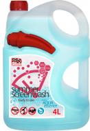 Омыватель стекла Profex 12214-55YG Aqua Essence лето 4 л