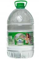 Вода Царичанська негазированная 6 л