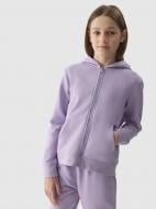 Джемпер 4F SWEATSHIRT F0919 4FJWSS24TSWSF0919-52S р.146 фиолетовый