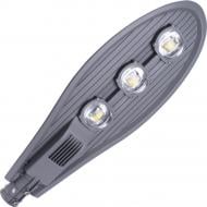 Светильник консольный E.NEXT e.LED.Street.150.6500 150 Вт черно-серый l0820005