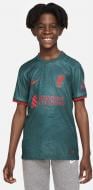 Футболка Nike Liverpool FC 2022/23 Stadium Third DJ7860-377 р.S green