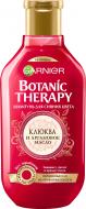 Шампунь Garnier Botanic Therapy Журавлина і арганова олія для фарбованого або мелірованого волосся 250 мл