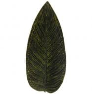 Блюдо сервировочное Costa Nova 39,8х17,2 см (560673995232) Блюдо сервировочное Costa Nova 39,8х17,2 см (560673995232)