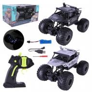 Автомобиль на радиоуправлении Shantou M765-37