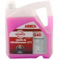 Антифриз Areca TECHNIGEL от -30 до +40 готовый 4 л розовый (560455) Антифриз Areca TECHNIGEL от -30 до +40 готовый 4 л розовый (560455)
