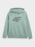 Джемпер 4F SWEATSHIRT M0780 4FJMM00TSWSM0780-47S зелений