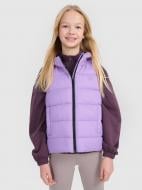 Жилет 4F VEST JACKET F166 4FJWSS25TVJAF166-51S р.128 фиолетовый Жилет 4F VEST JACKET F166 4FJWSS25TVJAF166-51S р.128 фиолетовый