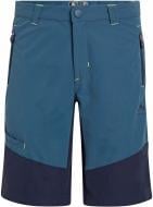 Шорты McKinley Aaron Boy 427252-509 р. 116 синий