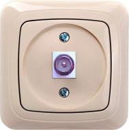 Розетка TV Liregus Alfa кремовый ITVL-1-01 A/S