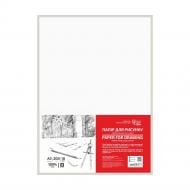 Папір для креслення Rosa Studio дрібне зерно А3 (29,7х42 см) 10 арк.
