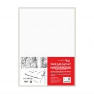 Папір для креслення Rosa Studio дрібне зерно А3 (29,7х42 см) 20 арк.