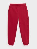 Брюки 4F TROUSERS CAS M535 4FJSS23TTROM535-62S р. 152 красный