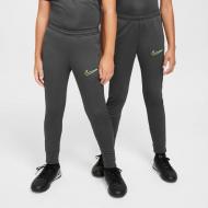 Штани Nike DX5490-061 р. XS сірий