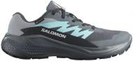 Кроссовки женские демисезонные Salomon ALPHAGLIDE GTX W L47802500 р.40 2/3 серые