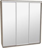 Шкаф-купе виват В 236 ДОМ ДСП 230x60x240 мм дуб сонома трюфель двери / зеркало Шкаф-купе виват В 236 ДОМ ДСП 230x60x240 мм дуб сонома трюфель двери / зеркало