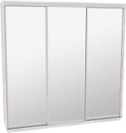 Шкаф-купе виват ВН 256 ДОМ ДСП 250x60x240 мм аляска двери / зеркало Шкаф-купе виват ВН 256 ДОМ ДСП 250x60x240 мм аляска двери / зеркало