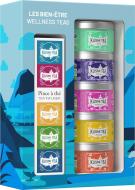Набір органічного чаю з ситечком Kusmi tea Велнес 5 шт. 98 г (R8547)