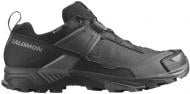 Кроссовки мужские демисезонные Salomon X ULTRA 5 GTX L47725500 р.46 черные