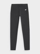 Лосины 4F TIGHTS CAS F093 4FJAW23TTIGF093-23M черный