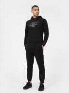 Брюки 4F TROUSERS CAS M565 4FSS23TTROM565-20S р. M черный