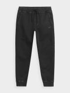Брюки 4F TROUSERS CAS M567 4FSS23TTROM567-20S р. 2XL черный Брюки 4F TROUSERS CAS M567 4FSS23TTROM567-20S р. 2XL черный