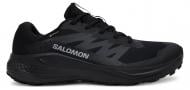 Кроссовки мужские демисезонные Salomon ALPHAGLIDE GTX L47802100 р.44 черные