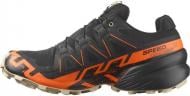 Кроссовки мужские демисезонные SPEEDCROSS 6 GTX L47879500 р.44 черные