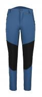 Брюки Icepeak DORR 57067_543_I_348 р. 54 голубой