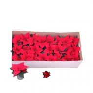 Растение Пуансетия 06х13 красная