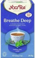 Чай травяной YOGI TEA с пряностями Глубина дыхания 17 шт. 1,8 г (28884)