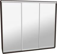 Шафа-купе віват ВН 306 ДОМ ДСП 300x60x240 мм венге двері дзеркало