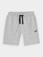 Шорти 4F SHORTS CAS M269 4FJRMM00TSHOM269-27M р. 122 сірий