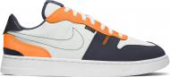 Кроссовки мужские демисезонные Nike Squash-Type CJ1640-101 р.44 разноцветные