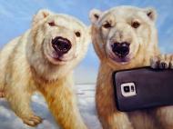 Картина на холсте Полярограммы ©Lucia Heffernan 30x30 см Brushme CN5361S