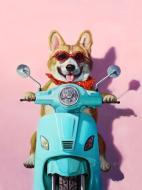 Картина на холсте Римские каникулы ©Lucia Heffernan 30x30 см Brushme CN5374S