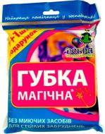 Губка універсальна Добра господарочка Магічна 2 шт. Губка універсальна Добра господарочка Магічна 2 шт.