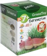 Набор для творчества травяная игрушка Бегемотик Grass Toy Softik