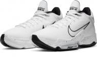 Кроссовки Nike Zoom Rize 2 CT1500-100 р.43 белые