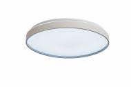 Светильник настенно-потолочный Sensio Borneo 72 Вт LED-модуль белый CL101