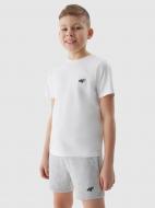 Шорты 4F SHORTS CAS M272 4FJWSS24TSHOM272-27M р. 146 черный
