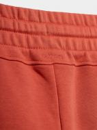 Шорты Outhorn SHORTS CAS F114 OTHSS23TSHOF114-62S р. XL красный